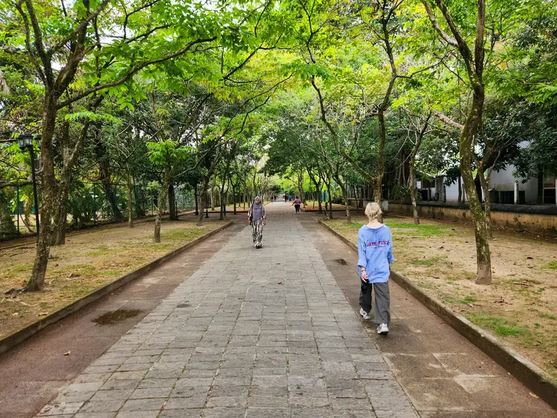 Two people walking together along a path in a park